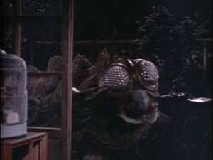 Rodan-insect-Meganulon